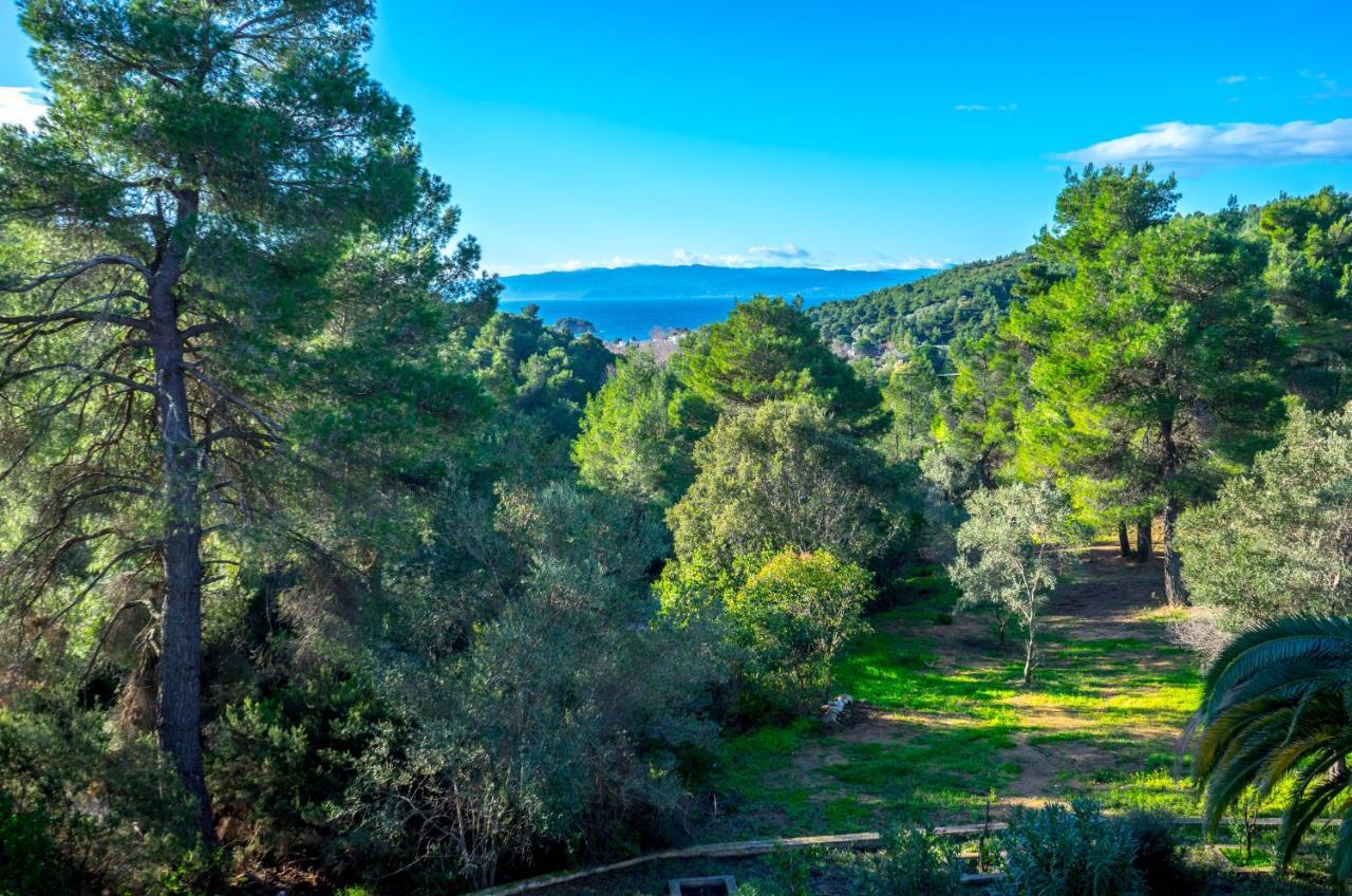 Forest Resort Suites Skiathos Troulos Extérieur photo