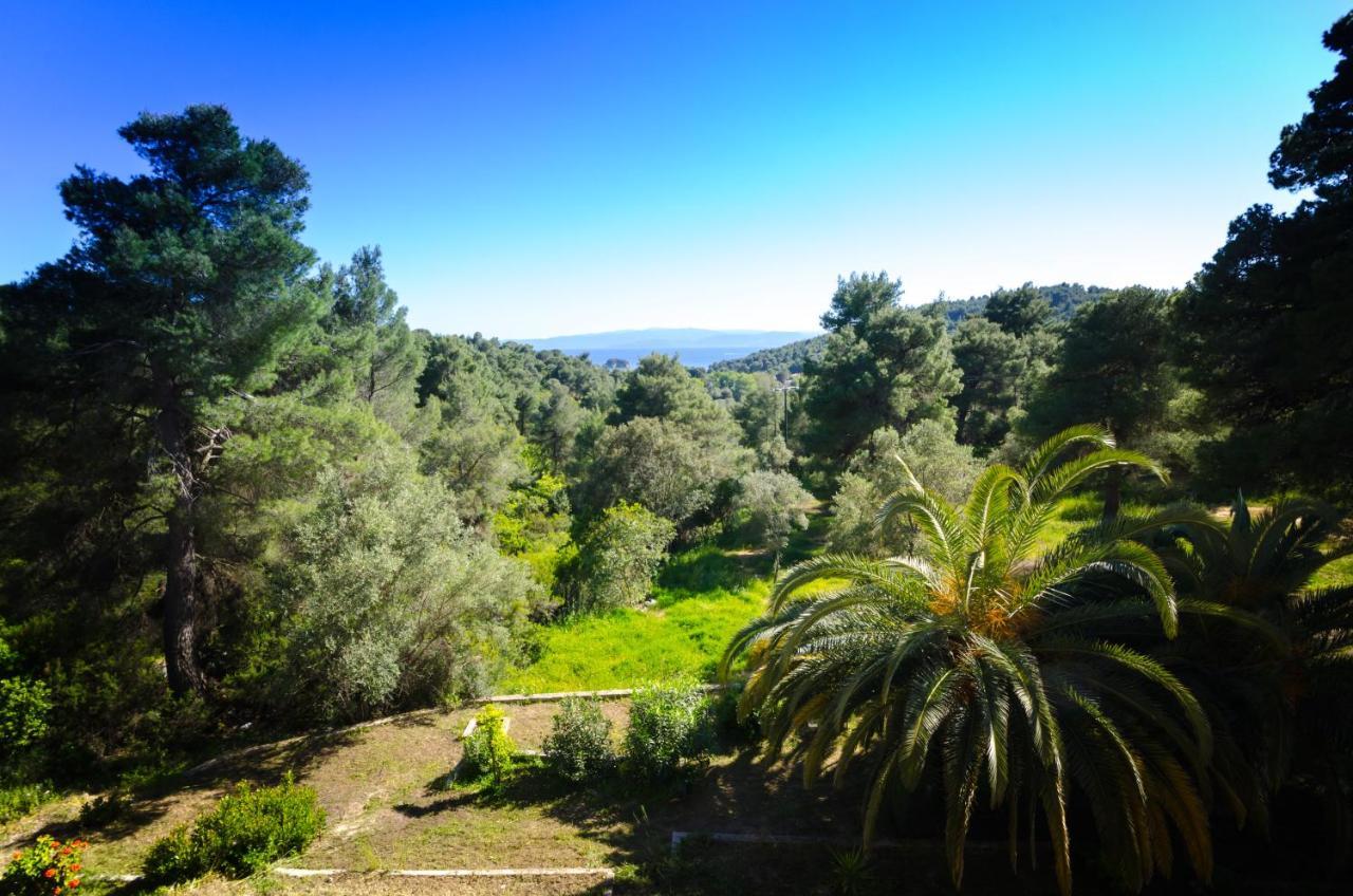 Forest Resort Suites Skiathos Troulos Extérieur photo