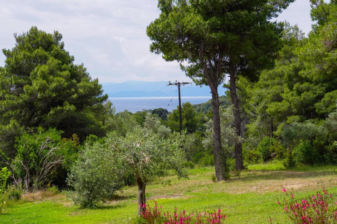 Forest Resort Suites Skiathos Troulos Extérieur photo
